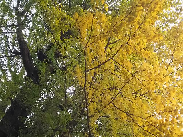 amucha݂̍̑傢傤̓eʐ^1