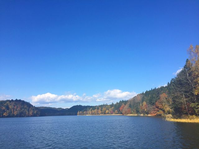 satomĩ`~Pbv΂̓eʐ^1