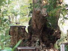 ���{�_�Ђ̑��̎ʐ^1