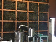 satomi̖knbJLOق̓eʐ^5