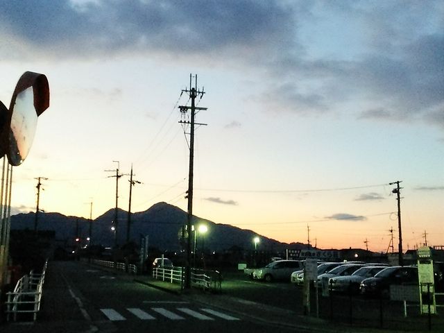 ���ւ���̒���(���R)_���c���򂳂��瑑