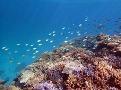 ̂̃tB[hlC`[Ί_ւ̓eʐ^1