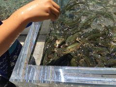 ̐EW ANAggӂւ̓eʐ^1