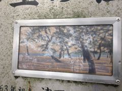 Sakamoto119さんの津田の松原・琴林公園の投稿写真22