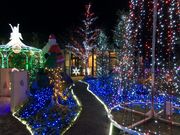 ܂̓̉w@ǂ܂Ȃ@ʂ܂̓eʐ^1