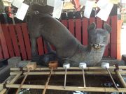 Sakamoto119����̕Z�\�R��א_�Ђ̓��e�ʐ^17