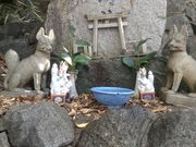 Sakamoto119����̕Z�\�R��א_�Ђ̓��e�ʐ^7