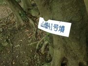 Sakamoto119̎RÕQ̓eʐ^12