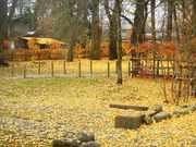 asuka̐kspْLOpق̓eʐ^1