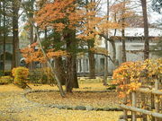 asuka̐kspْLOpق̓eʐ^2