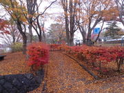 mar̈uΔȗΒn̓eʐ^2