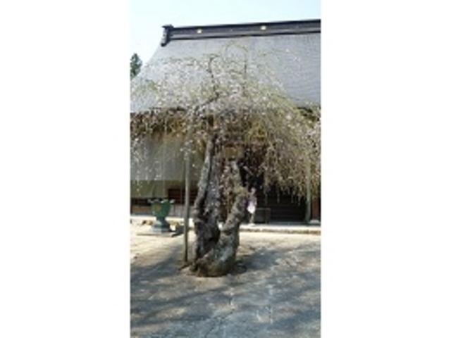 �������ꂽ�Ƃ���ɂ���Z�������̖��̌Ö�_�痴����