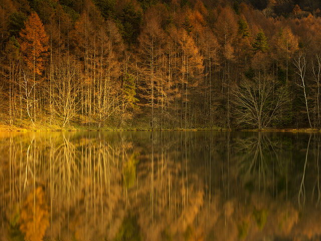 teriyaki82����̉����ȉ���̓��e�ʐ^1