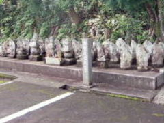 TKS����̓V�����i�򕌌����s�j�ւ̓��e�ʐ^1