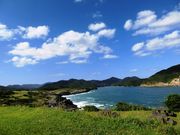 minuu����̋��ÃP������̓��e�ʐ^1