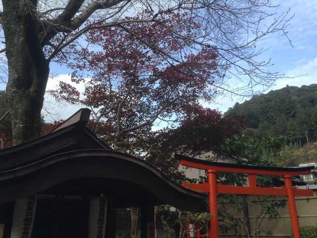 ���J��
�ޗǌ�����s����731-1_���J��