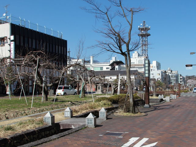 S؂̗lqB^񒆂ɂ傱ƌ̂OAiTOj_񂲕؂̎OA