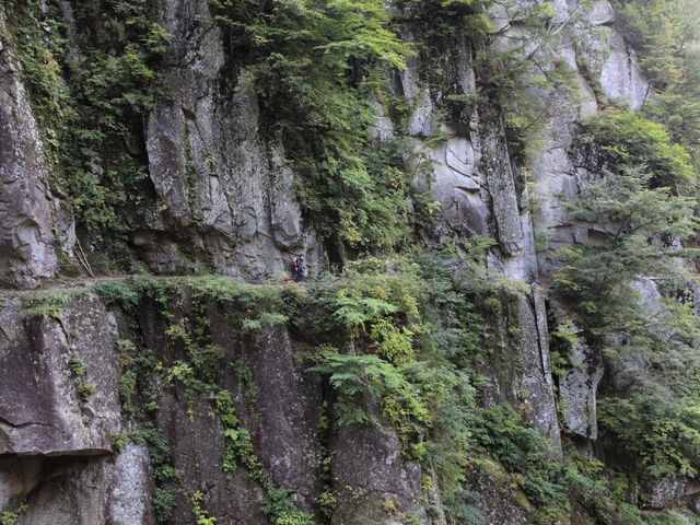 �����܂ł́A���B_���]������