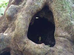 ̂̎񗢋钬̑AJMւ̓eʐ^1