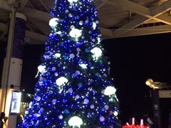 �V�]�m�������ق̎ʐ^1