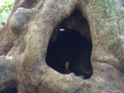 ̂̎񗢋钬̑AJM̓eʐ^1