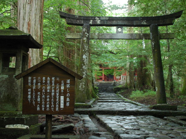 _ЁE^̒_jՒTHi_ЃR[Xj