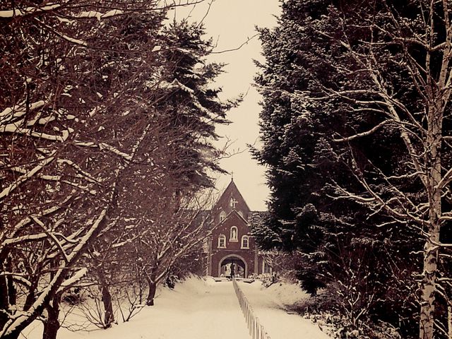 �����V�g�[���̐����C���@�i�g���s�X�g�C���@�j