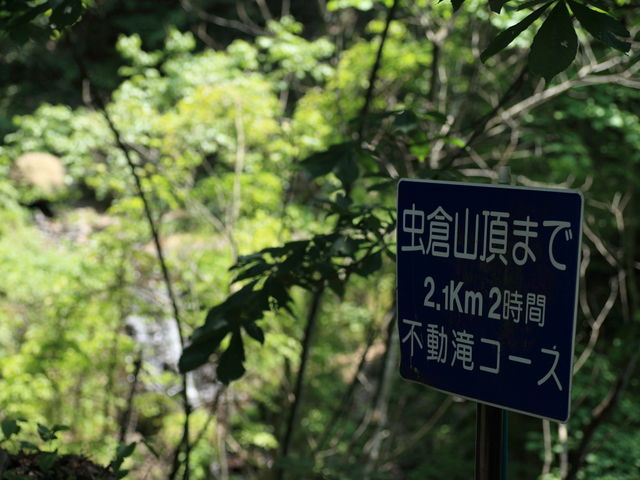 �s����R�[�X_���q�R