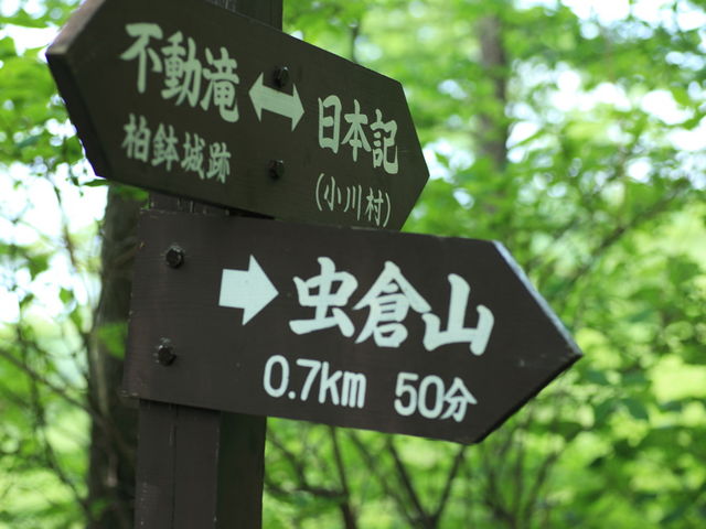 �R���܂Ŗ�P����_���q�R