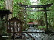 v[񂳂̎jՒTHi_ЃR[Xj̓eʐ^5