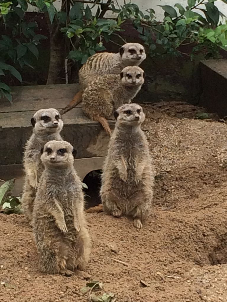東武動物公園