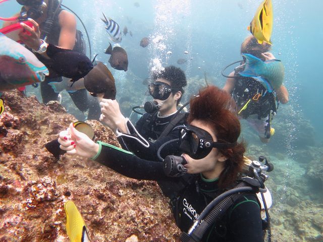 ̐ɃrbNI_NmX@I[V@tB[h