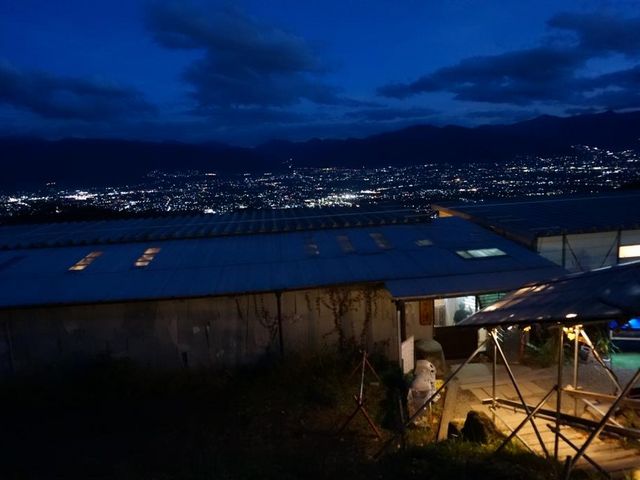 ̓t߂̖iBC͂Ył_ق炩