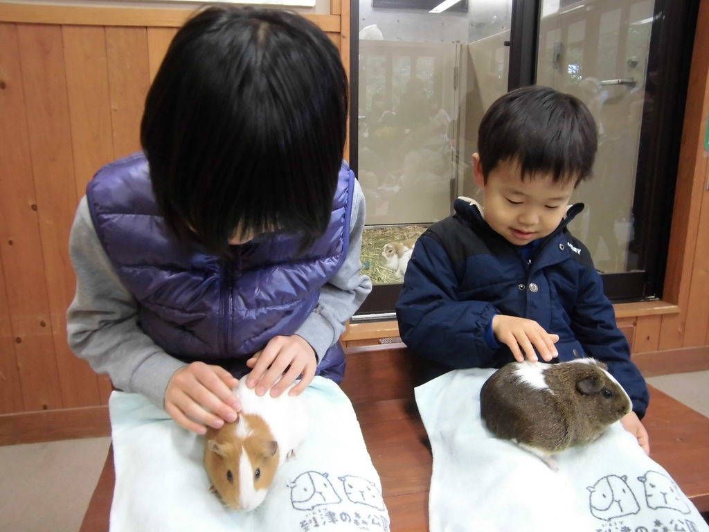 到津の森公園
