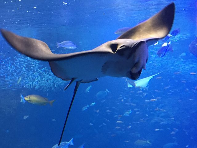 �����̊�B_���s������