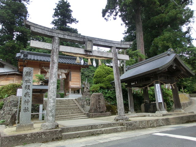 ����_�{��_��