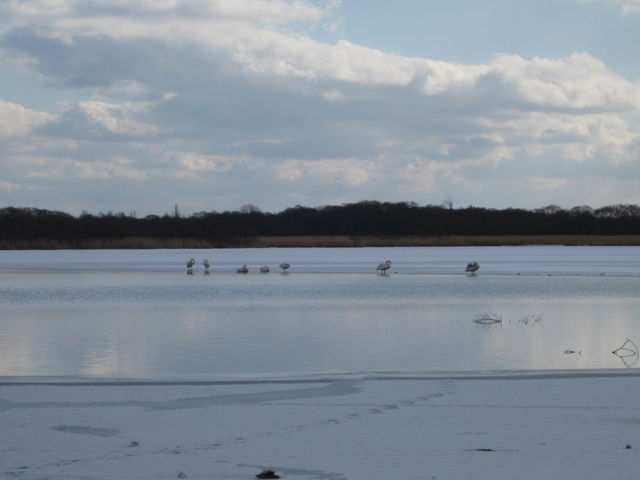 �E�g�i�C��