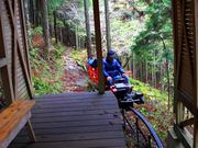 p7777777ܑ̌㏼ߓ̓eʐ^1