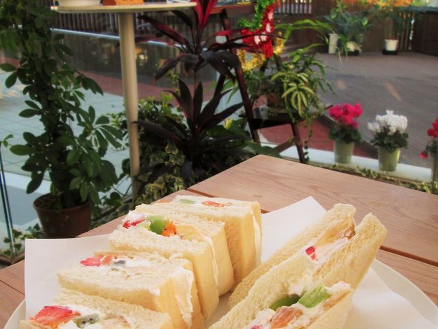 �t���[�c�T���h�B_�J����t���[�c�����E�t���[�c�Z���^�[