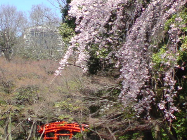 ����ȕ��i�������ɍL����܂��B
���΂炵���Ƃ���ł��B_���ΐ��y��