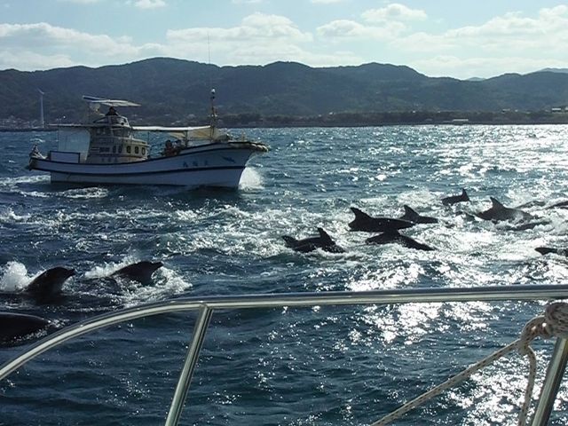 �V���ό��C���J�E�H�b�`���O�@�h���t�B���N���[�Y_�V���ό��C���J�E�H�b�`���O �h���t�B���N���[�Y