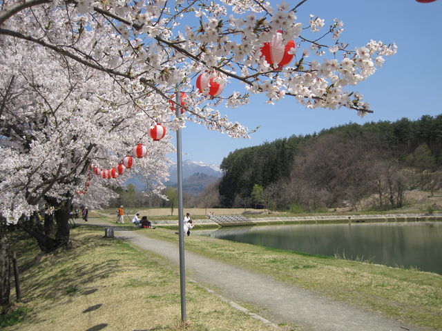 ������C�g�A�b�v����Ă���l�q_���̉w �ӂꂠ���p�[�N�쑽�̋� ������̍�