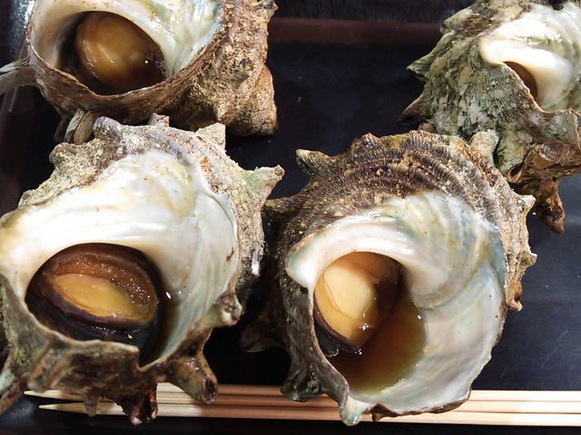 �T�U�G�̂ڏĂ�_�Ƃ�Ƃ�p�[�N