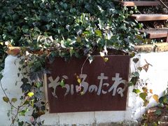 ̂̂炢̂˂ւ̓eʐ^1