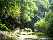 ނ炳񂳂̓ŉ̑̓eʐ^1