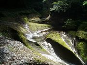 ނ炳񂳂̓ŉ̑̓eʐ^6