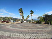 tomsañI[gLv܂̂̓eʐ^1