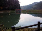 kingtut����̈����P�˂̓��e�ʐ^2