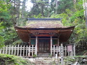 ǁ[̏㐙MEi̓̕eʐ^1