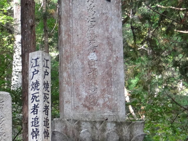 ǁ[̍]ˏĎҋ{̓eʐ^1